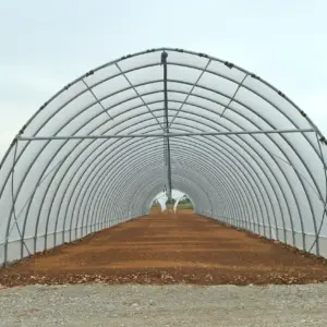 Tunelinių šiltnamių sistema
